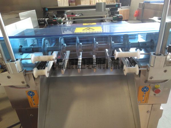 DLZ520系列自動(dòng)連續真空包裝機(圖3)