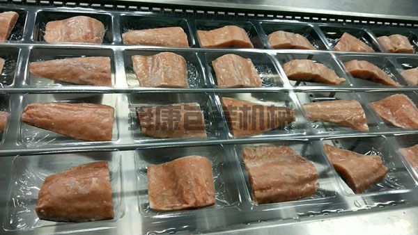 DLZ520系列自動(dòng)連續真空包裝機(圖4)