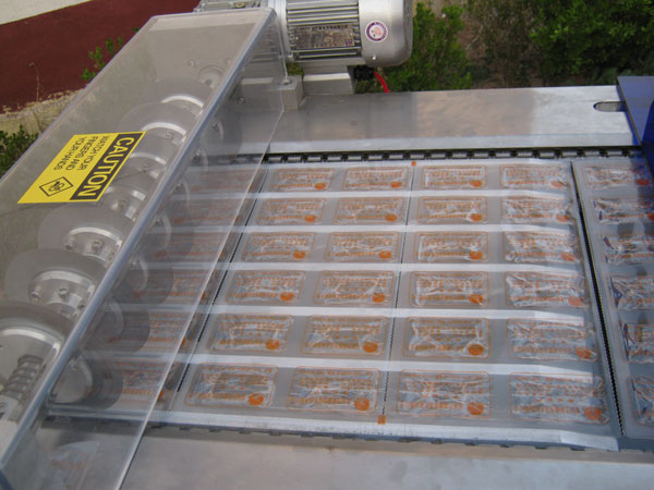 DLZ320-420系列自動(dòng)連續真空(圖6)